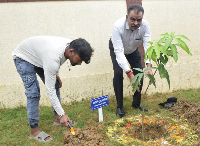 CCL: Tree planting drive organized